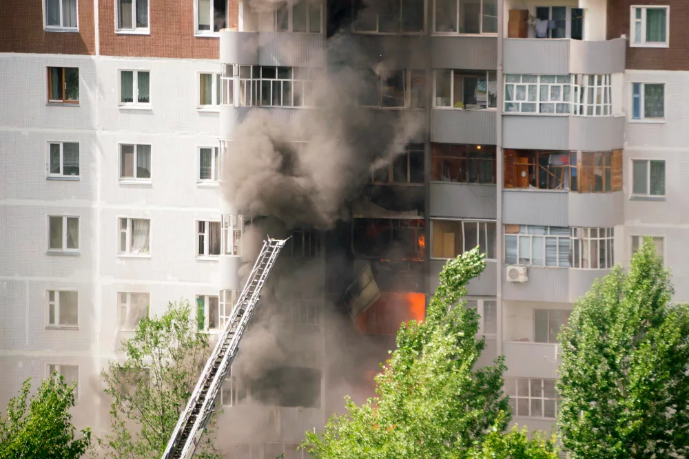 Décontamination Professionnelle et Remise en État