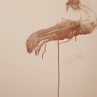 Nettoyage de scène de crime après homicide par les experts Novalia Services